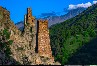 vovnushki_42