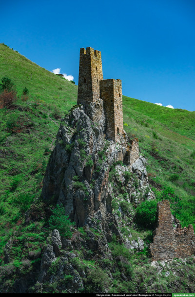 vovnushki_62