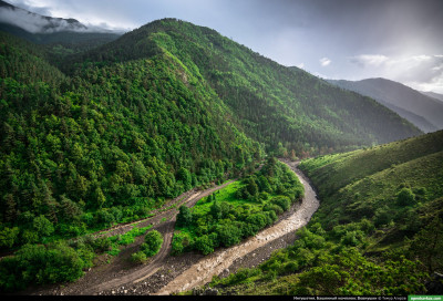 vovnushki_36