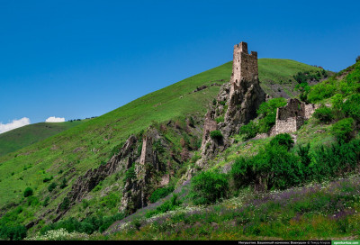 vovnushki_63