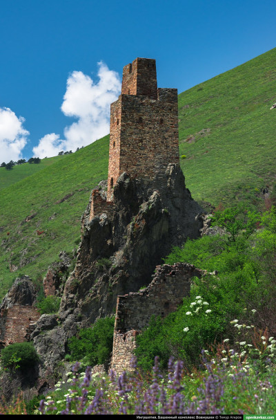 vovnushki_66