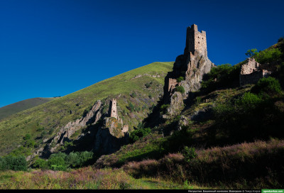 vovnushki_51