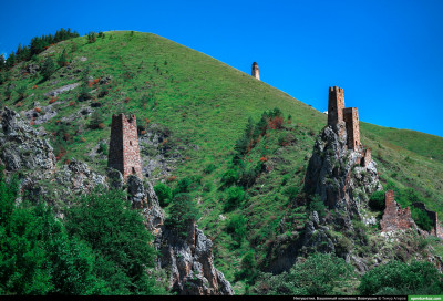 vovnushki_61