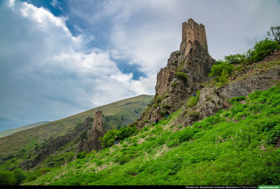 vovnushki_38