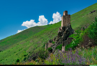 vovnushki_65