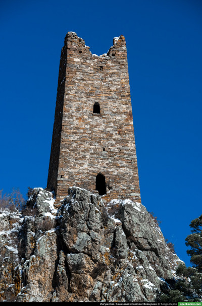 vovnushki_12